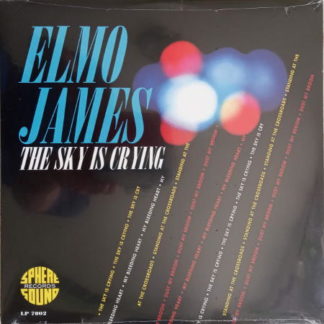 Vinyle de Elmore James
